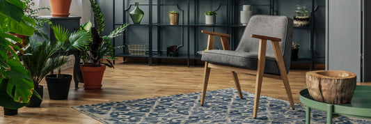 Why Every Home Needs a Rug?