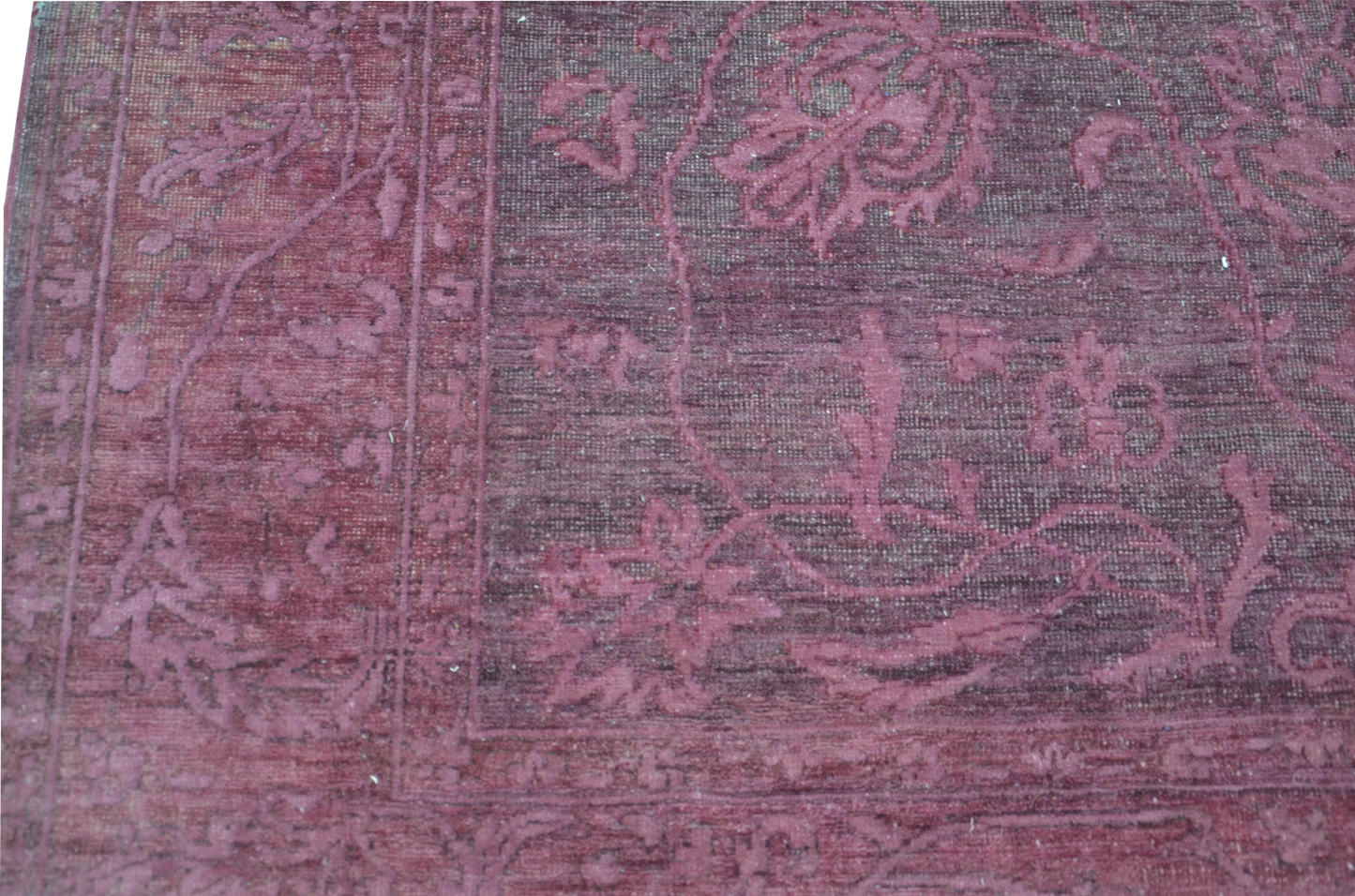 The Pink Carnation